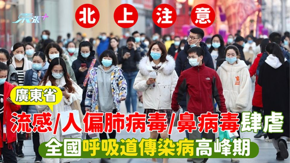 北上深圳小心！全國呼吸道傳染病高峰🦠 廣東省流感😷/人偏肺病毒/鼻病毒大流行💊！