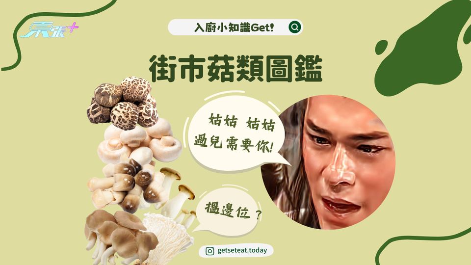 街市菇類圖鑑 #夠鐘開飯