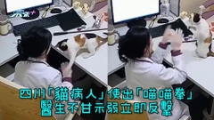 有片｜四川「貓病人」使出「喵喵拳」 醫生不甘示弱立即反擊