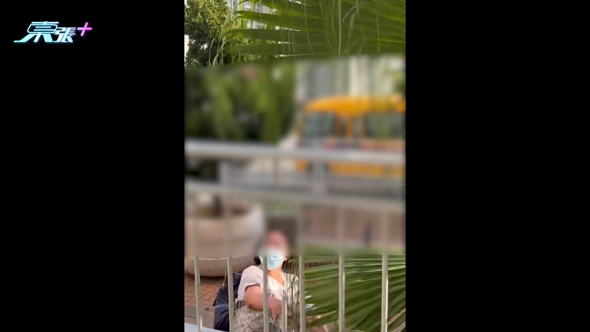 九巴車廂阿婆太嘈被勸靜音　疑不滿下車後怒向學生擲石　後續反擊引熱議