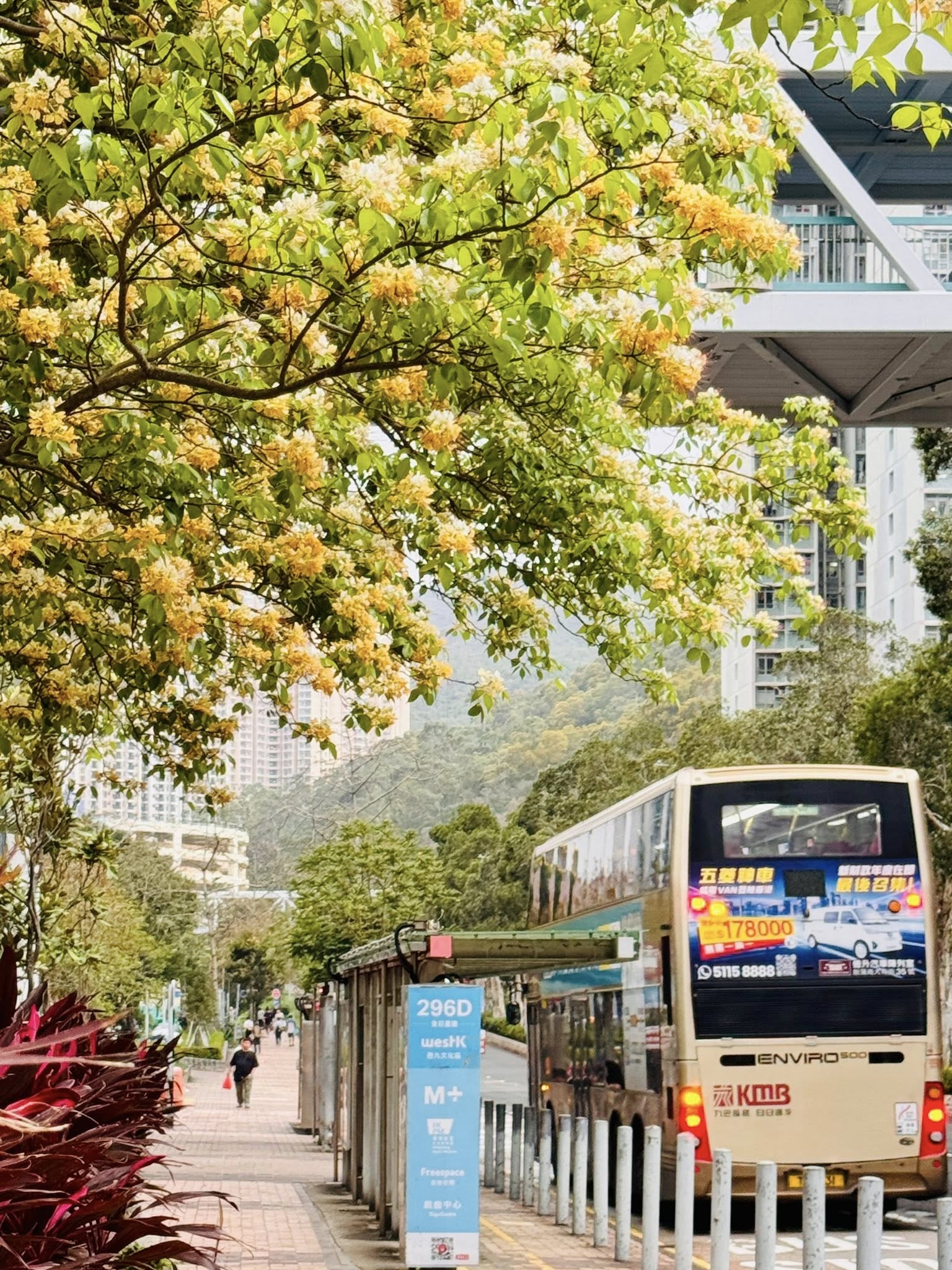 可能是有軌電車和文字的圖像