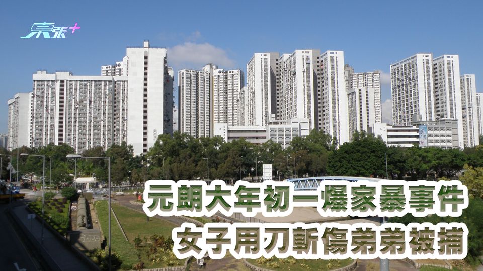 元朗大年初一爆家暴事件 女子用刀斬傷弟弟被捕