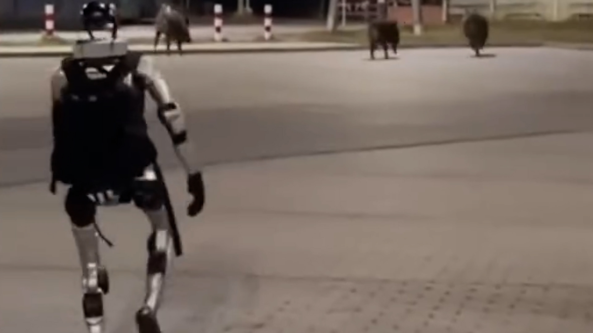 夜間街頭出現「人形機械人」追趕野豬　3小豬慌忙奔跑　原來由中國企業研發？