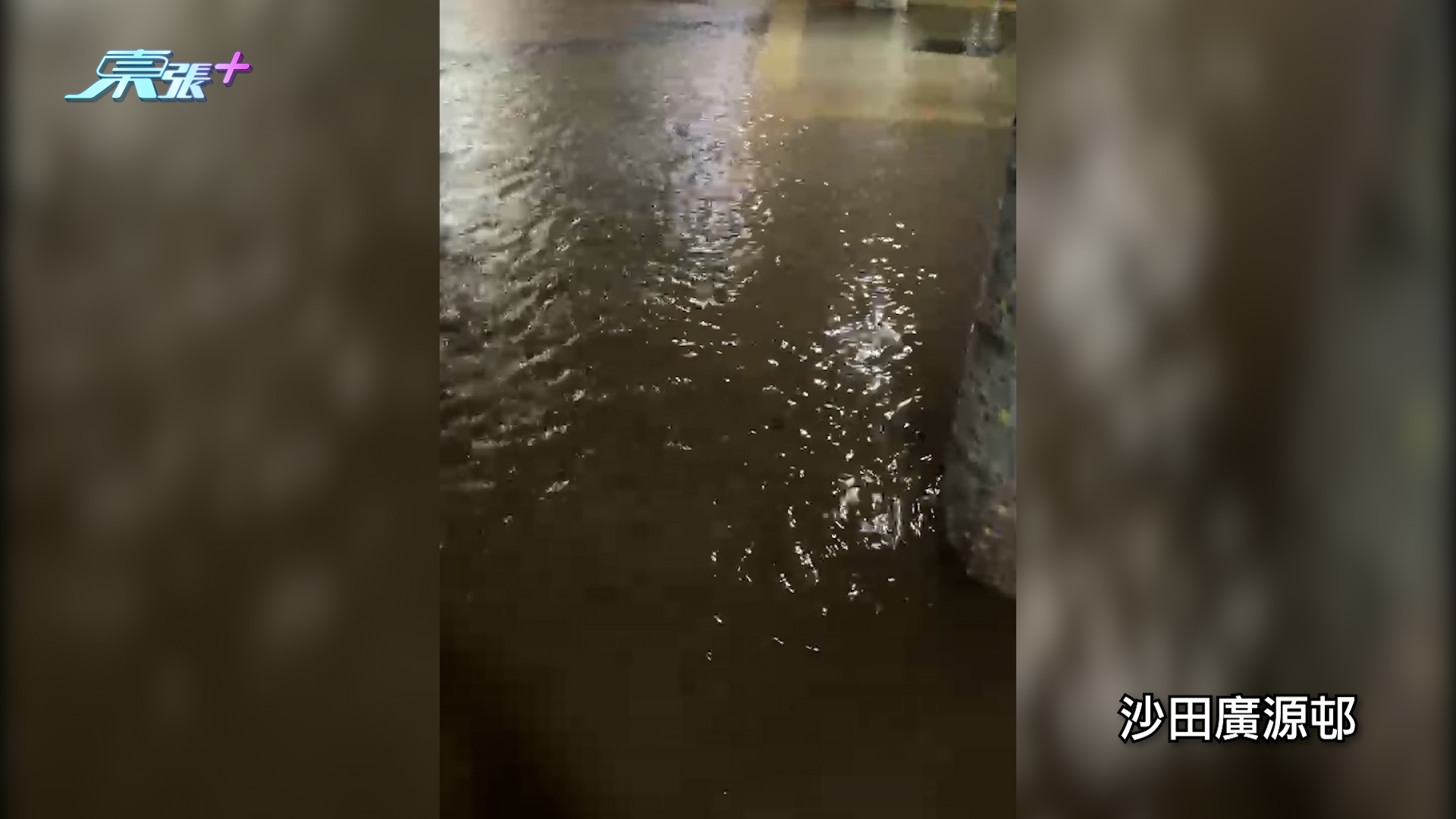 東張西望報料｜黑雨下市面多區水浸　黃大仙沙田成澤國　多名觀眾報料：浸曬啊！