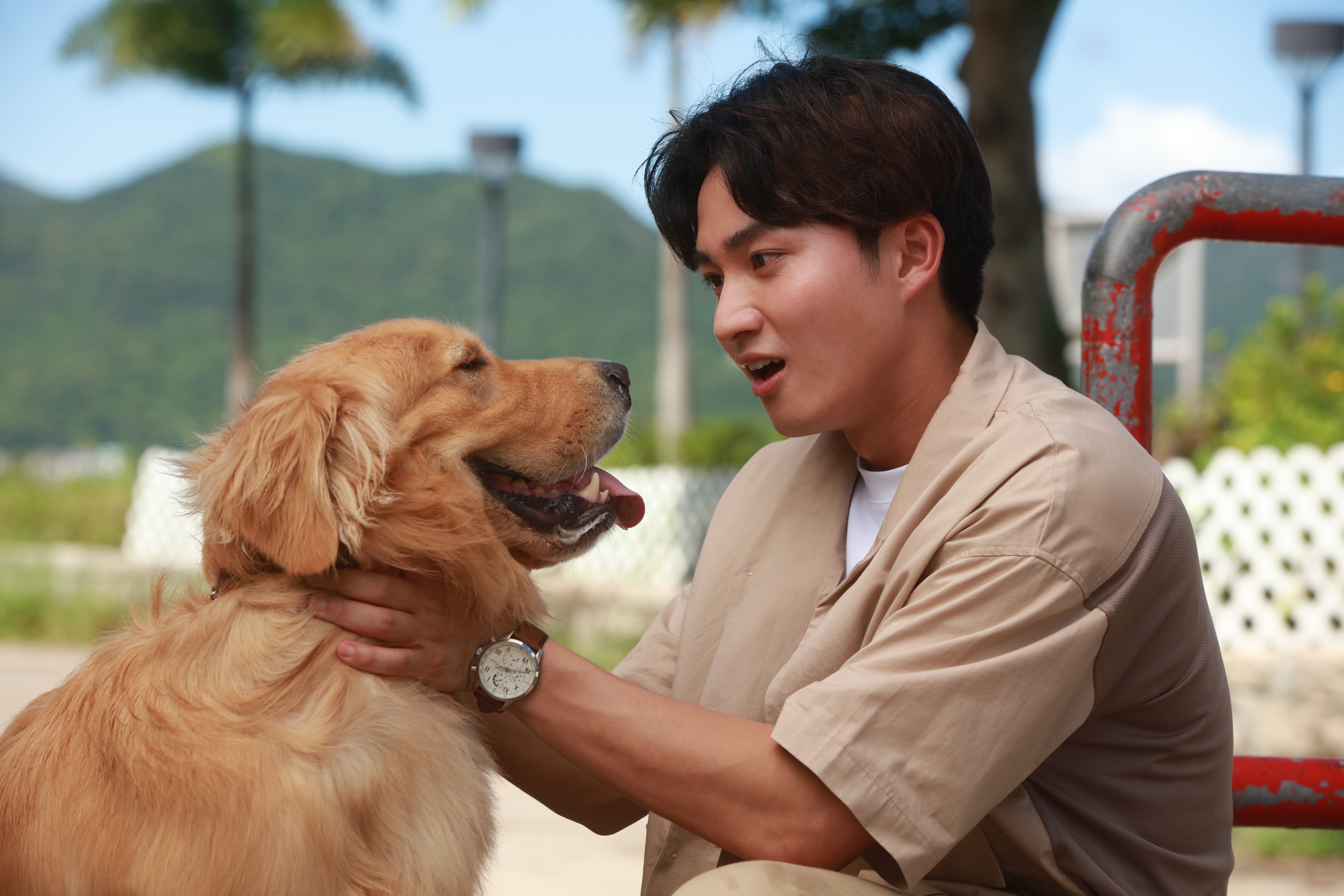 嘉洛同Romeo喺劇中可以自在溝通，仲因而協助到佢事業發展