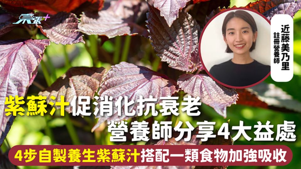 紫蘇汁 | 促消化抗衰老 營養師分享4大益處 4步自製養生紫蘇汁 搭配一類食物加強吸收