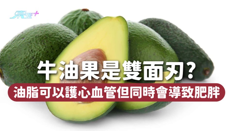 牛油果是雙面刃？油脂可以護心血管、防中風，但同時會導致肥胖👀