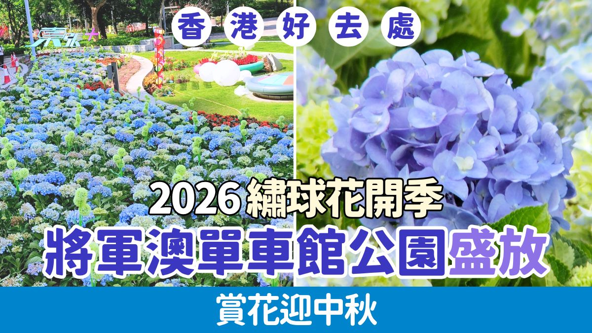 香港好去處｜2026繡球花開季 將軍澳單車館公園盛放！賞花迎中秋