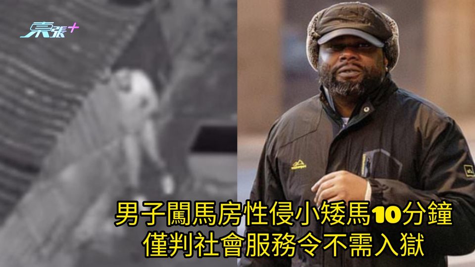 真人版「暴龍哥」| 男子闖馬房性侵小矮馬10分鐘 僅判社會服務令不需入獄