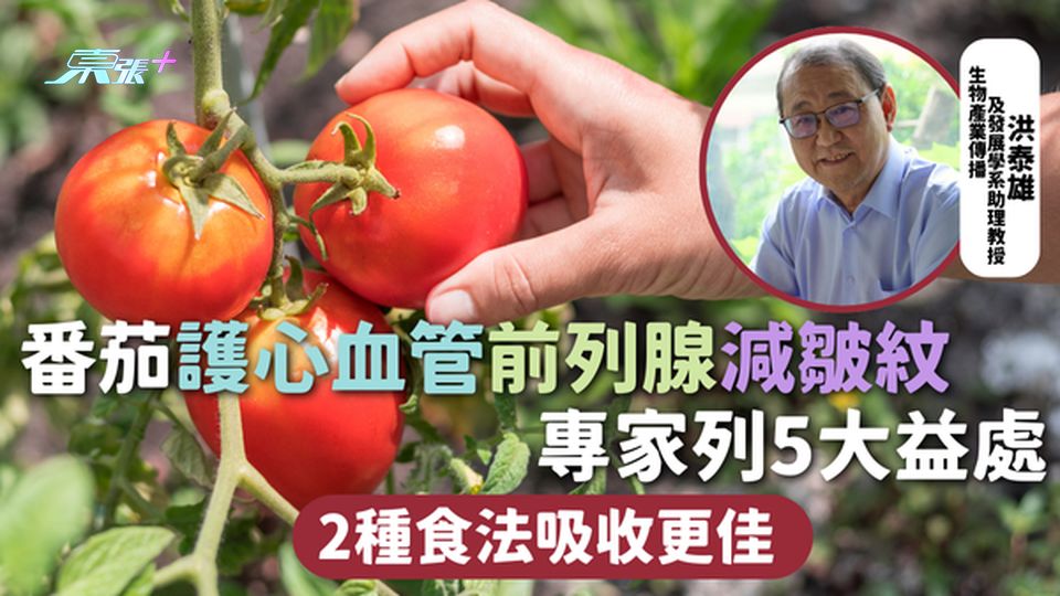 番茄 | 番茄護心血管前列腺減皺紋 專家列5大益處 2種食法吸收更佳