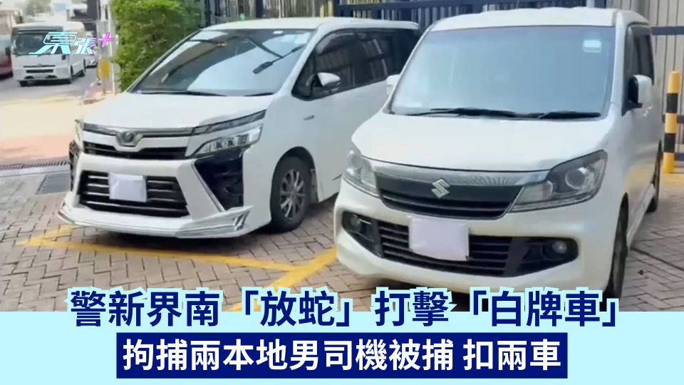 警新界南「放蛇」打擊「白牌車」 拘捕兩本地男司機被捕 扣兩車