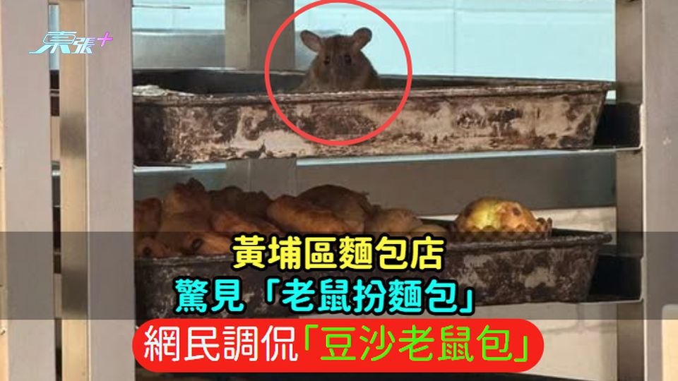 黃埔區麵包店驚見「老鼠扮麵包」 網民調侃「豆沙老鼠包」