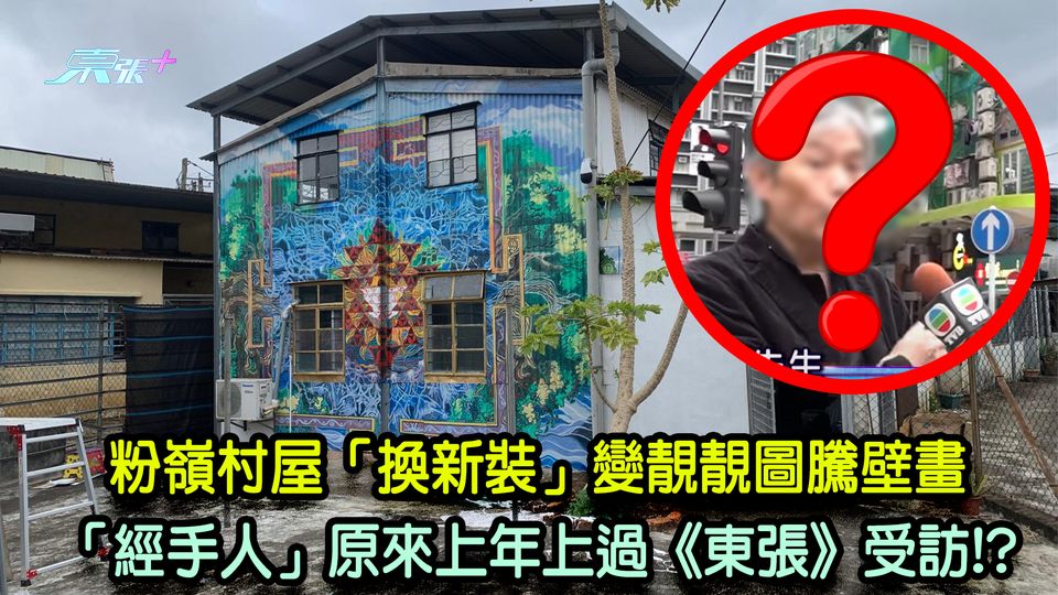粉嶺村屋「換新裝」變靚靚圖騰壁畫 「經手人」原來上年上過《東張》受訪!?