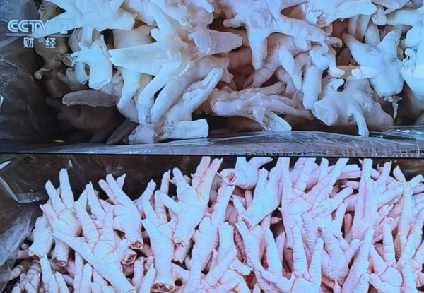 ▲▼雙氧水泡雞爪。（圖／翻攝自微博）