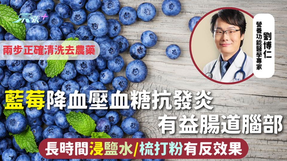 藍莓 | 降血壓血糖抗發炎 有益腸道腦部 長時間浸鹽水/梳打粉有反效果 兩步正確清洗去農藥
