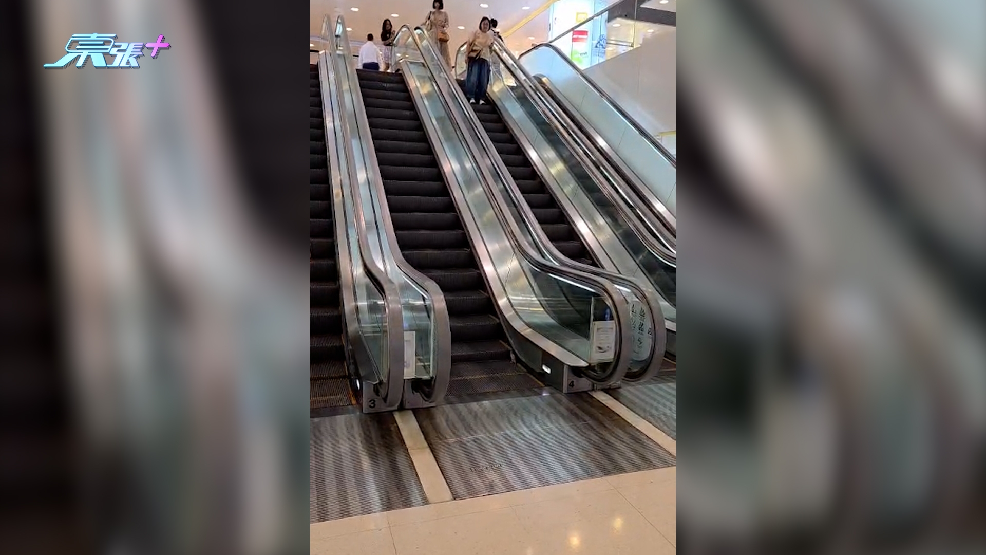 東張西望報料｜黃埔商場驚現老鼠搭扶手電梯「做Gym」　多名街坊圍觀事件發展