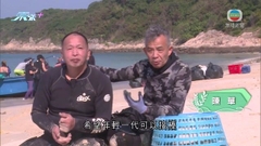 【無耆不有】司徒志強遇好兄弟陳華 為海洋環境拍住上