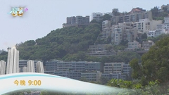 《日日有樓睇》：淺水灣規劃 今晚九點財經體育資訊台