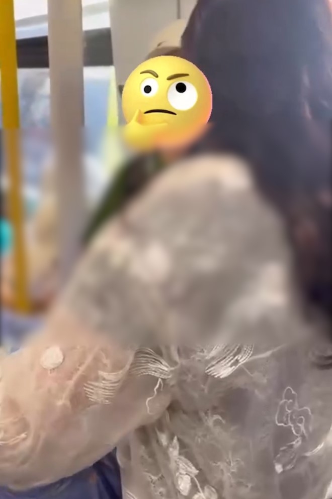 東鐵拖篋大媽踩細路女發惡鬧返乘客　唔道歉更大戰圍攻惹眾怒