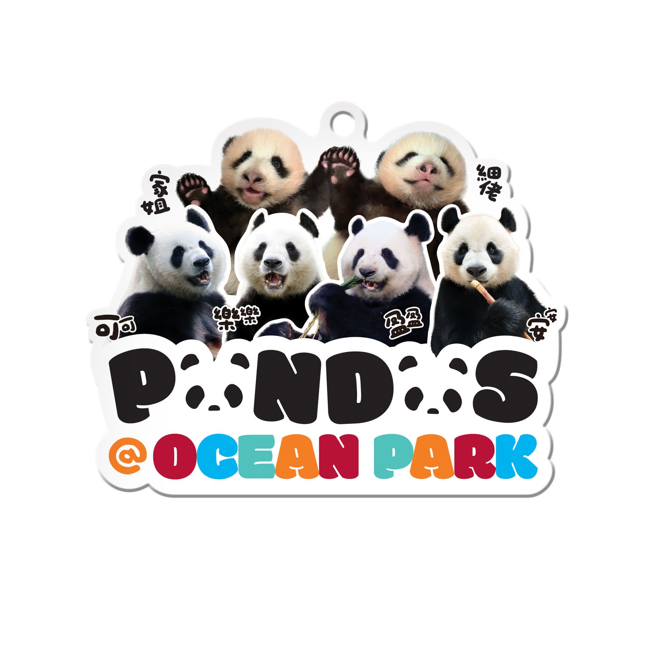 大熊貓珍藏版八達通