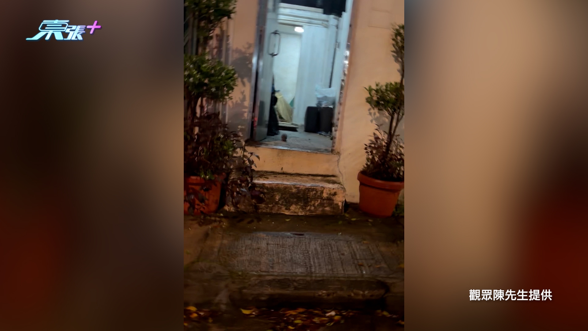 東張西望報料｜元朗牛潭尾豪宅區變「鼠城」　獨立屋湧現數十隻老鼠　街坊怒斥無人理 （陳先生提供影片截圖）