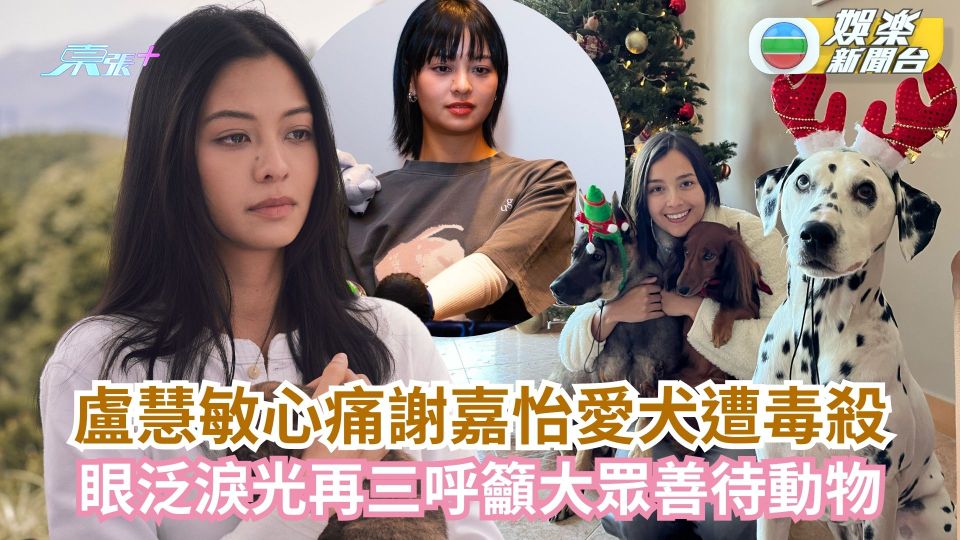 盧慧敏心痛謝嘉怡愛犬遭毒殺 眼泛淚光再三呼籲大眾善待動物