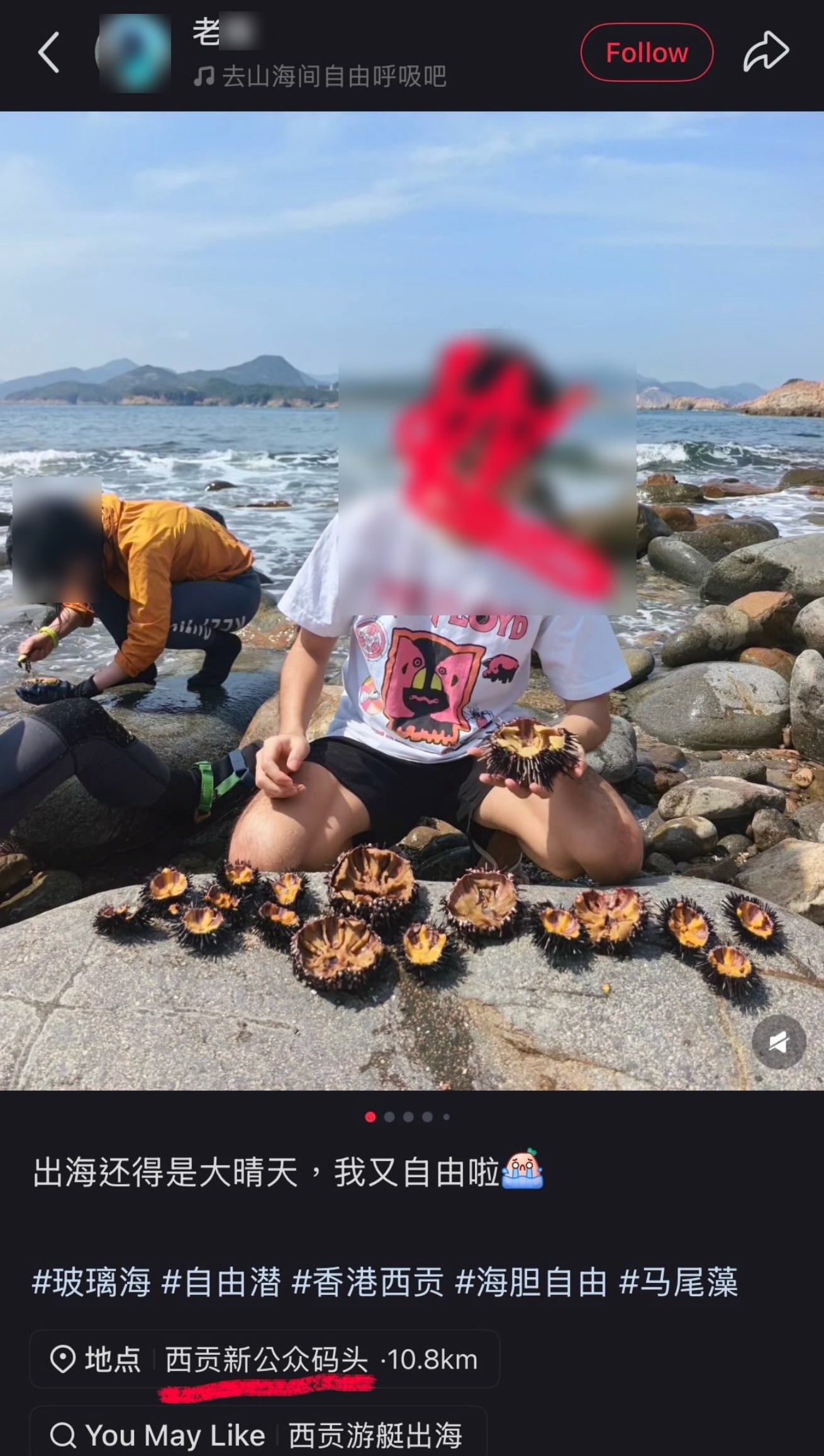 東張西望跟進｜五一黃金周西貢遭「海膽掃蕩」　內地客玩海鮮放題疑犯法　網民怒斥