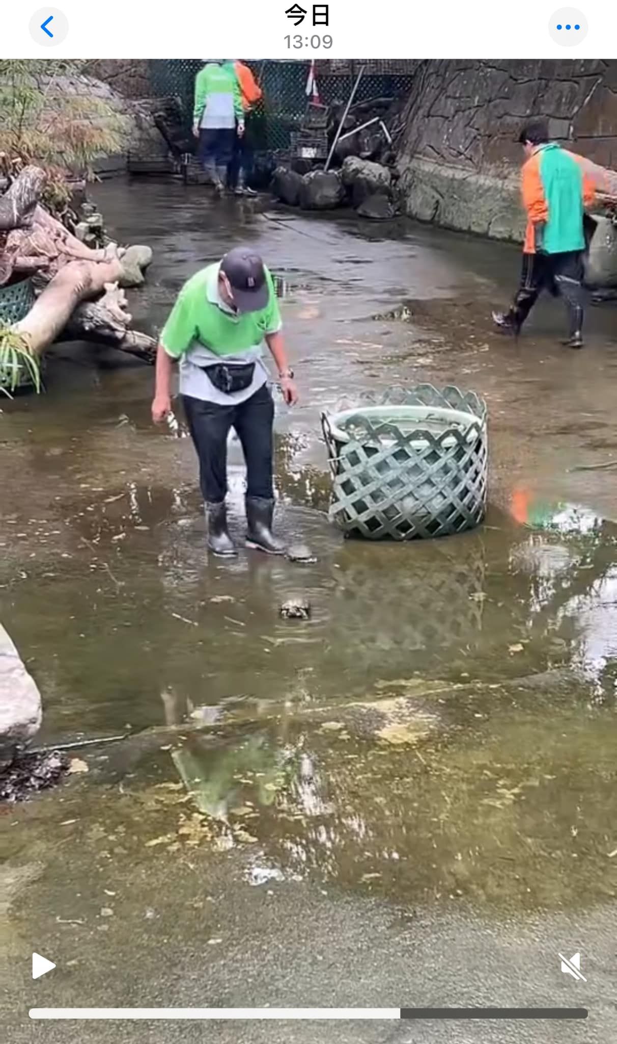 九龍公園水池大清洗「疑抽乾水」，康文署證3條魚缺水慘死。（龜途Facebook）