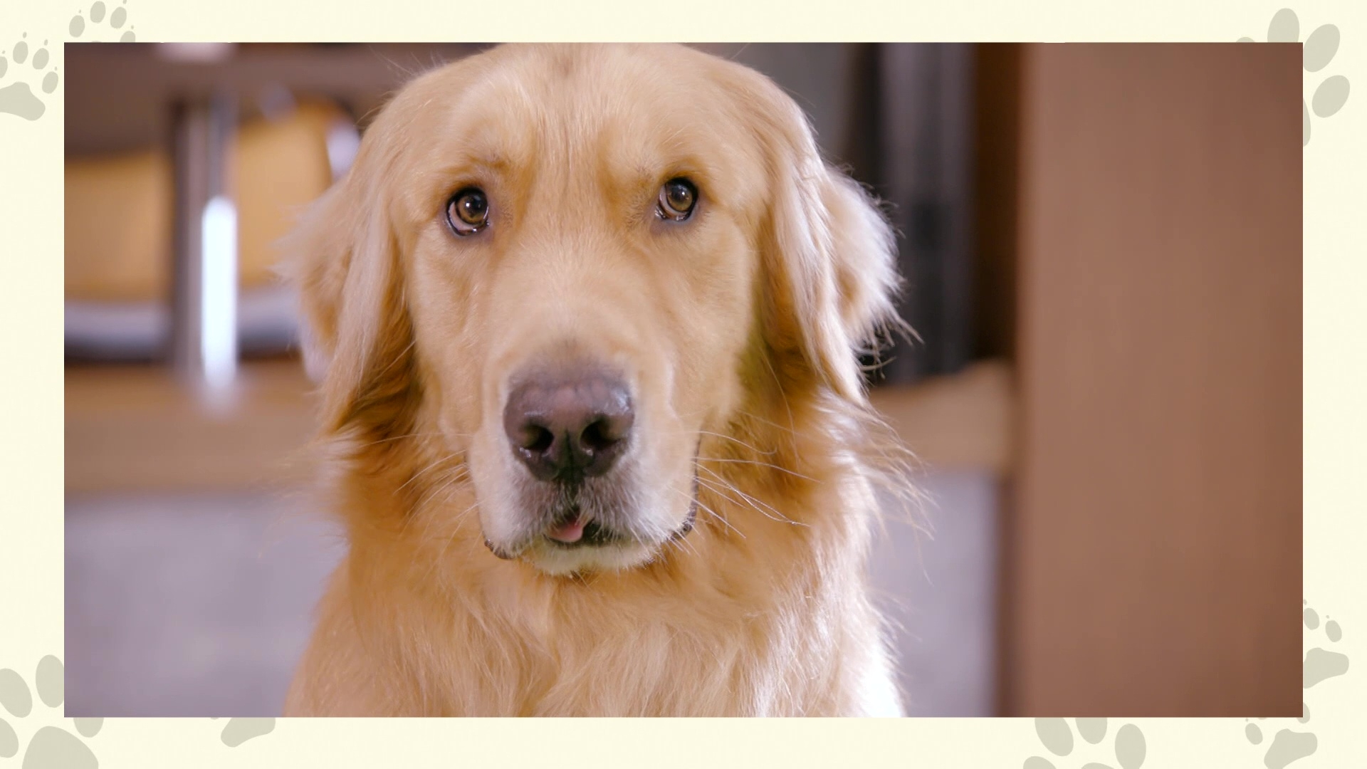 冬甩由阮政峰聲演。