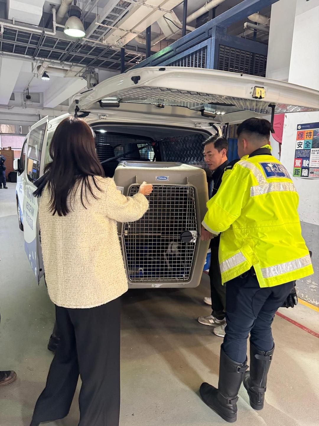 荃灣小狗走失誤闖荃灣公路險象環生。(FB@香港警察)