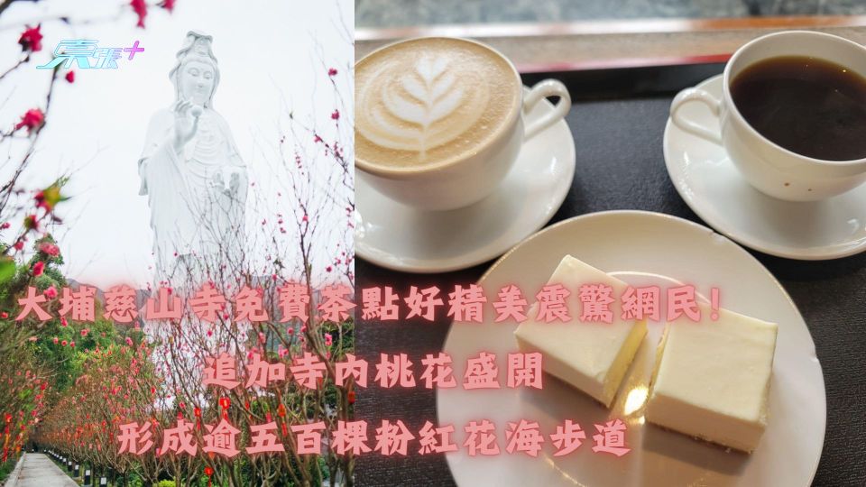 大埔慈山寺免費茶點好精美震驚網民！追加寺內桃花盛開 形成逾五百棵粉紅花海步道 