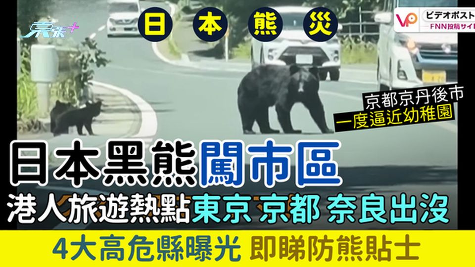 遊日注意｜日本黑熊闖市區 東京、京都、奈良出沒 4大高危縣曝光 即睇防熊貼士