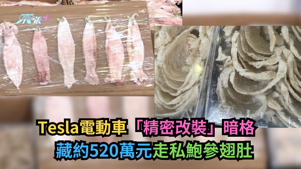 Tesla電動車「精密改裝」暗格　藏約520萬元走私鮑參翅肚