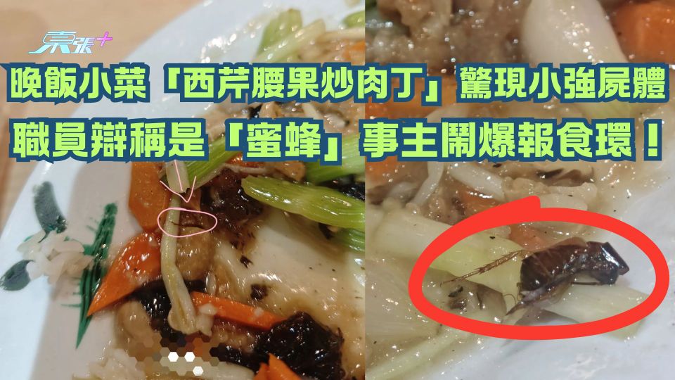 晚飯小菜「西芹腰果炒肉丁」驚現小強屍體  職員辯稱是「蜜蜂」事主鬧爆報食環！