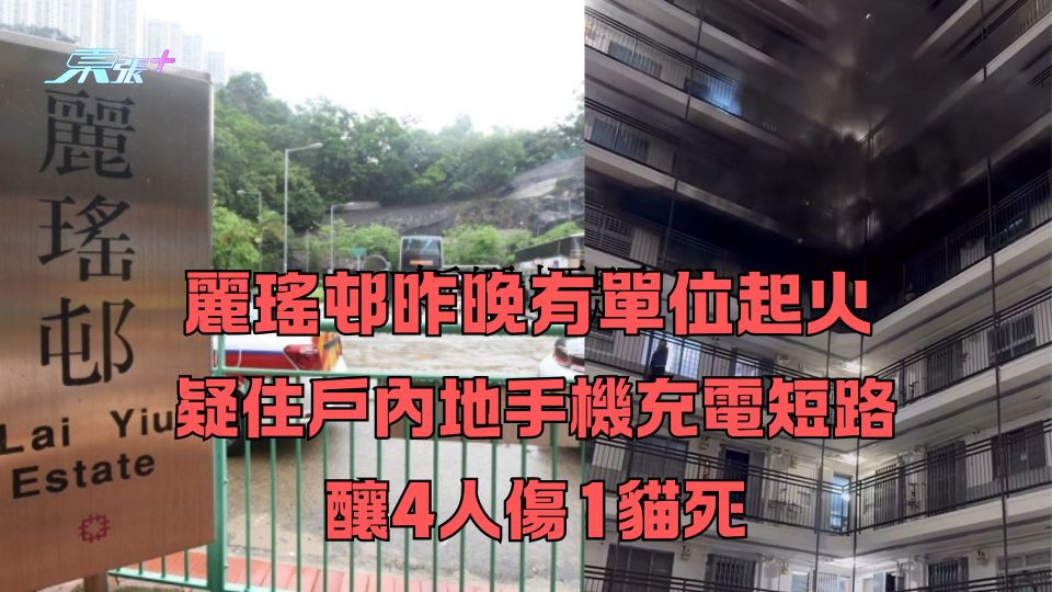 麗瑤邨昨晚有單位起火 疑住戶內地手機充電短路釀4人傷1貓死