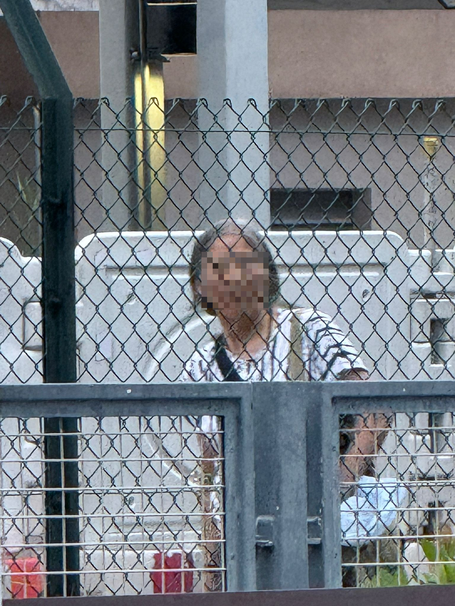 東張西望報料｜宋皇臺公園婆婆大玩「仙女散花」，麵包碎撒地下影響衛生。(讀者報料)