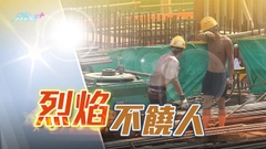 天文台連續兩日發極端酷熱天氣特別提示 料未來幾天持續炎熱