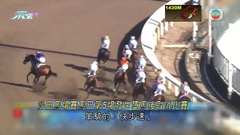 賽馬日第五場騎師布文墮馬 該場中途取消