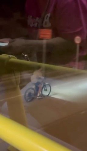 男子公然公路上駕駛電動單車