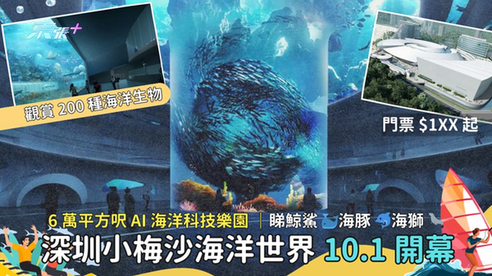 深圳小梅沙海洋世界🌊 10.1 開幕🎉6萬平方呎AI海洋科技樂園｜睇鯨鯊 海豚 海獅🦭