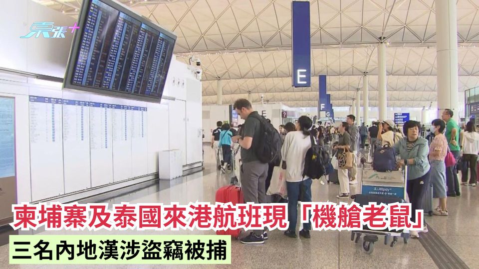 柬埔寨及泰國來港航班現「機艙老鼠」三名內地漢涉盜竊被捕