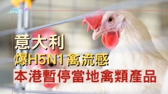 意大利爆H5N1禽流感 本港暫停當地禽類產品