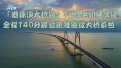 「港珠澳大橋遊」12月中開通試運 全程約140分鐘近距離遊覽大橋景色 