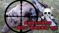 英國婦女狩獵野豬 遭同伴「戲劇性事故」射死