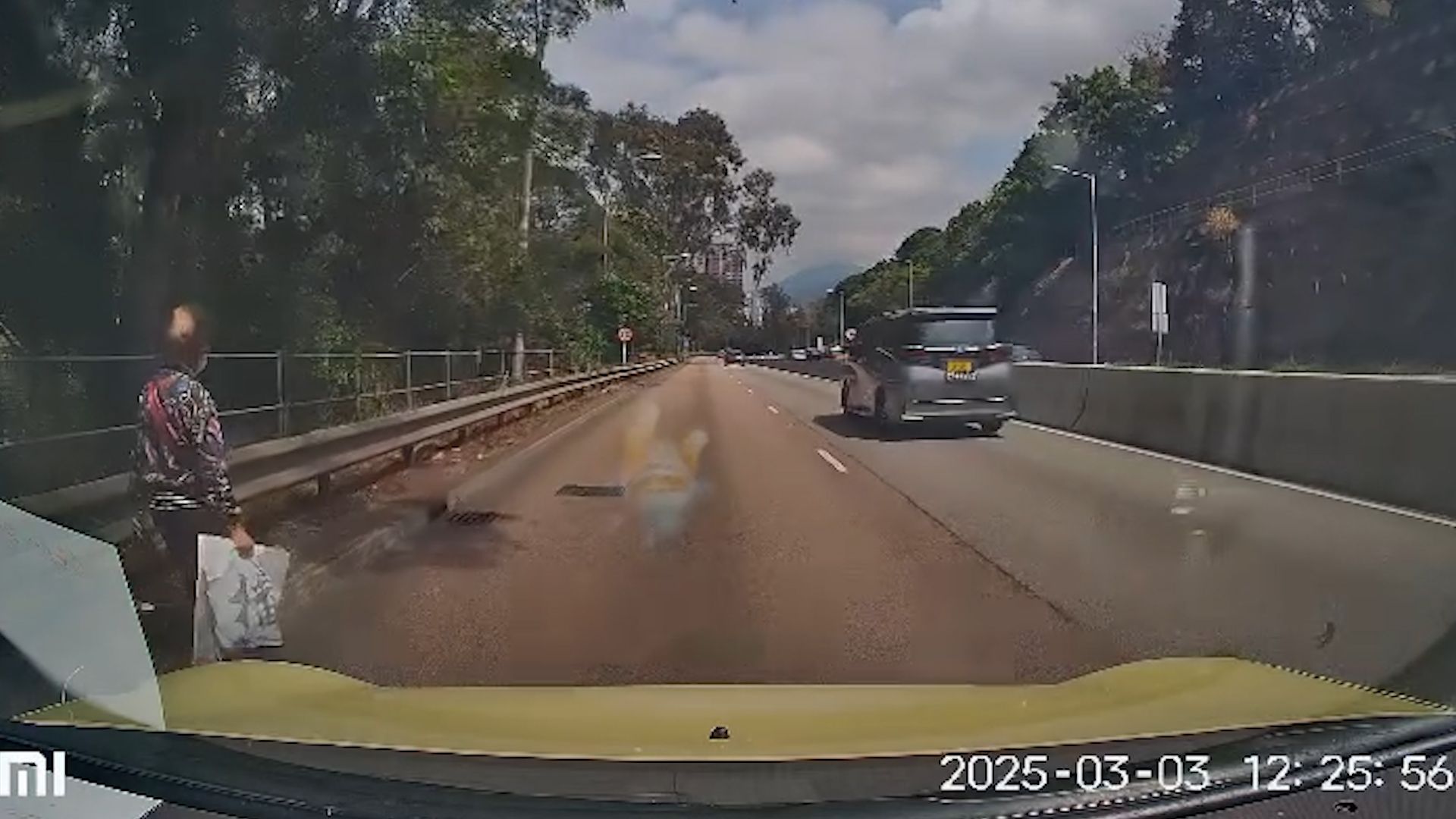 老婦獅子山隧道落錯巴士步行回家，熱心司機見狀開車送回家。(影片截圖)