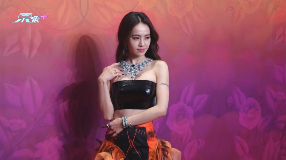 (國語)蔡依林新專輯難產 未來有望再開演唱會