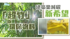 【創科導航】建造業減碳新希望：超級竹