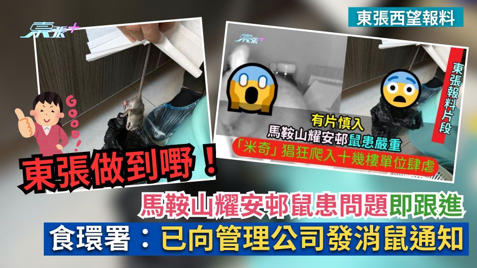 東張西望報料｜東張做到嘢！馬鞍山耀安邨鼠患問題即跟進　食環署：已向管理公司發消鼠通知