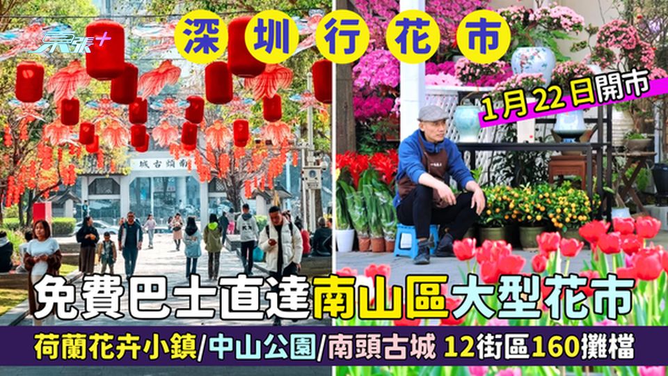 兩條免費巴士🚌直達南山區大型花市🌸荷蘭花卉小鎮🌼/中山公園🧨/南頭古城12街區160攤檔🧧
