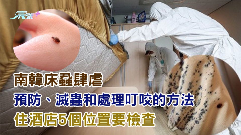 南韓床蝨肆虐︱預防、滅蟲和處理叮咬的方法 必睇住酒店五個位置要檢查